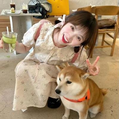 真假王爷海报